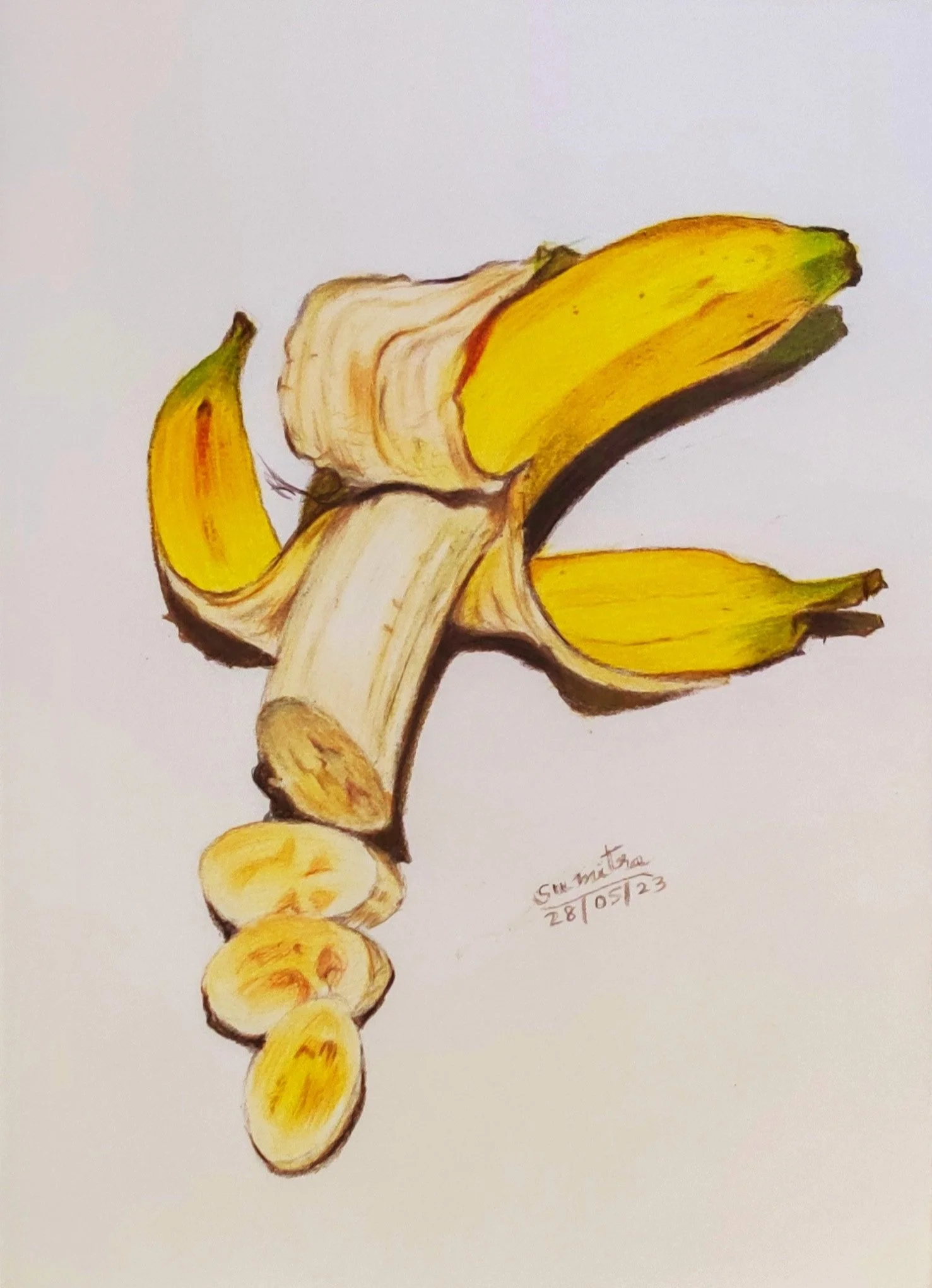 'Tropical' | A5 size | Colour Pencils on Paper | Reference Picture Internet | Still Life Series