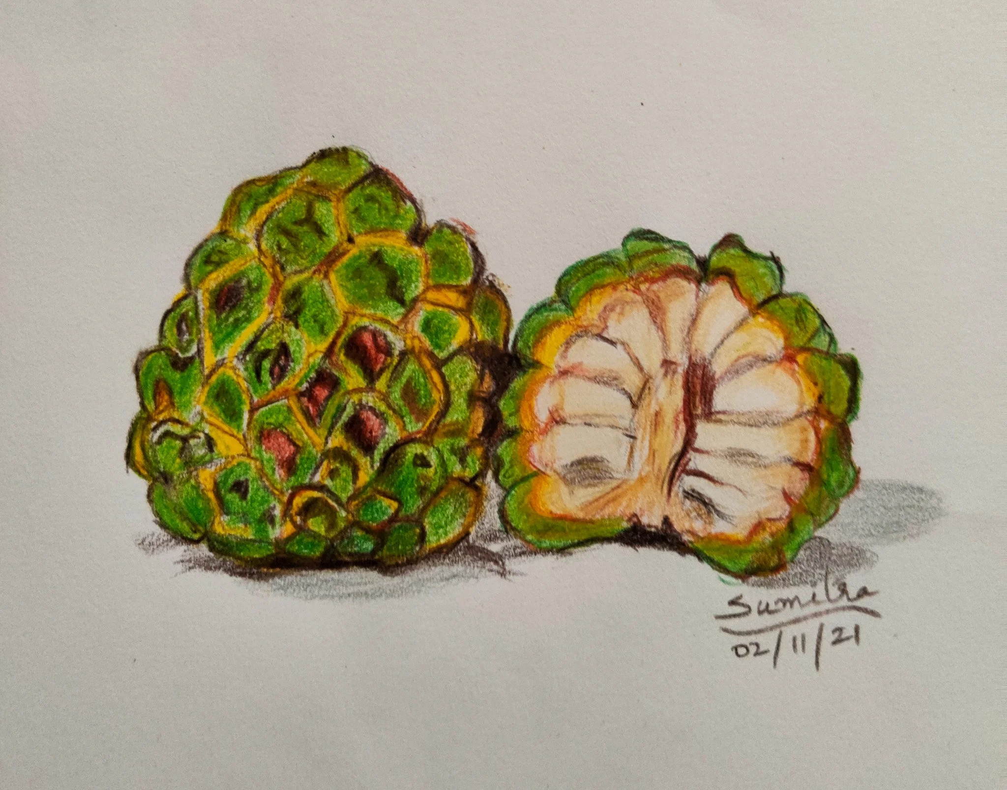 'Soft and Sweet' | A5 size | Colour Pencils on Paper | Still Life Series