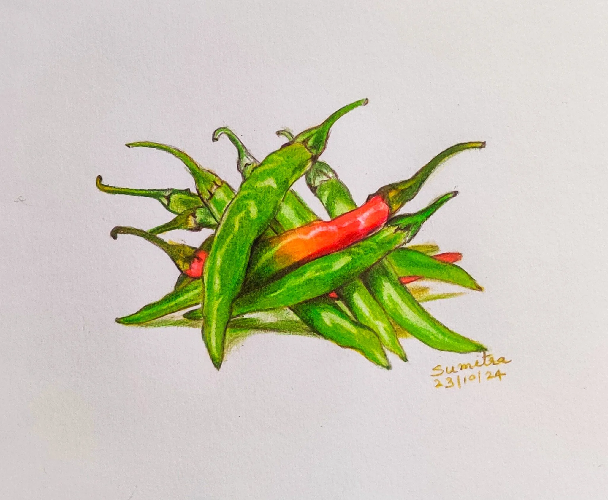 'Hot and Spicy' | A5 size | Colour Pencils on Paper | Still Life Series