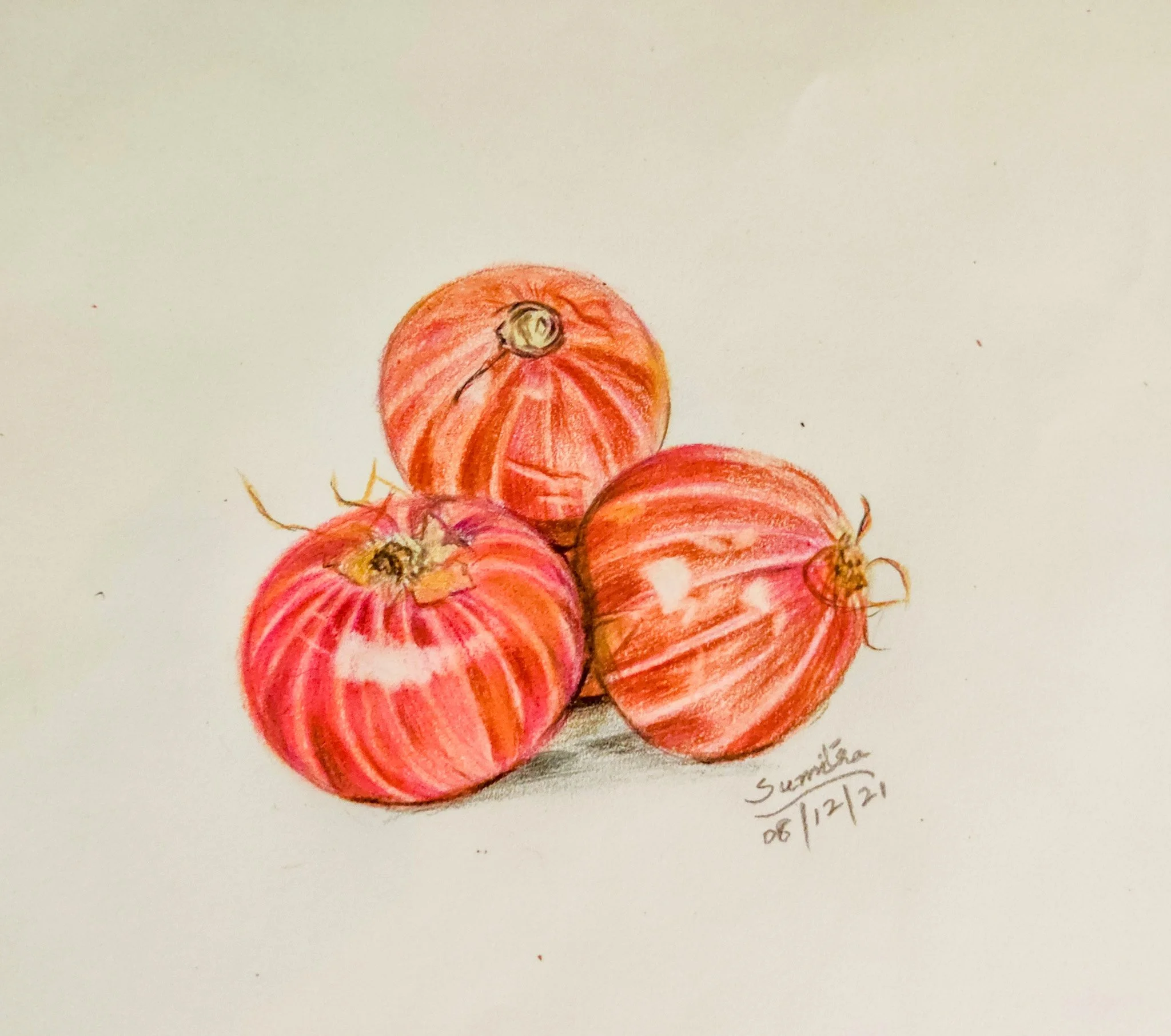'Tangy with Flavour' | A5 size | Colour Pencils on Paper | Still Life Series