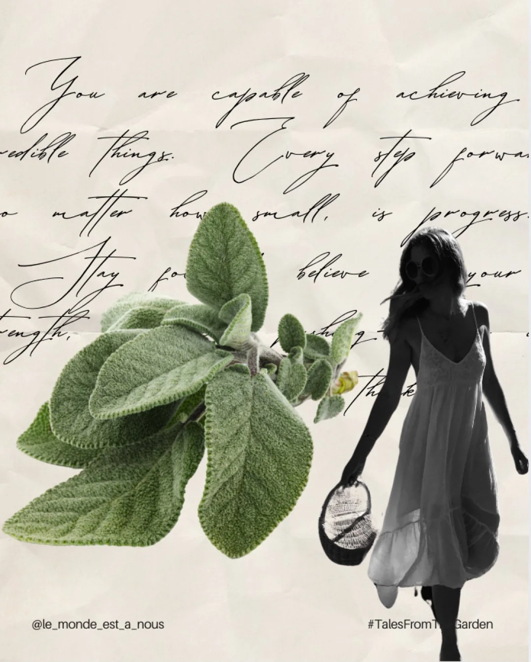 Sacred sage,
keeper of thresholds,
smoke and silence to guide the soul.

𓁹 ˚₊&middot; 𓁹

✨ Use it as an infusion to ease digestion,
or burn it to clear stagnant energies.

#LMEAN🌱🌙 #TalesFromTheGarden #SacredSage #HerbalWhispers #RitualPlants #My