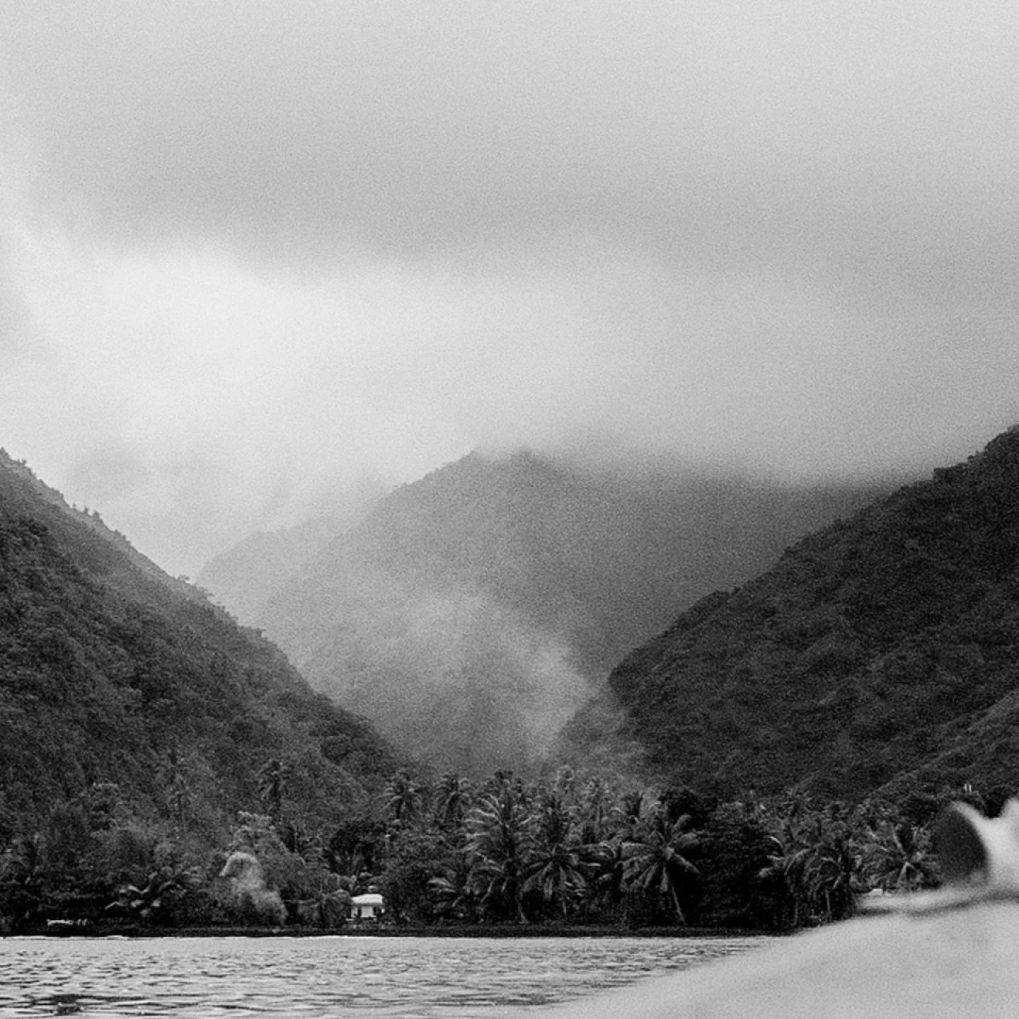 Where the soul breathes
The mist teaches us about softness.
Not every path needs clarity &mdash;
some are meant to be felt, not seen.

𓁹 ˚₊&middot; 𓁹

#LMEAN🌱🌙 #WildAndSlowLiving #HealingGarden #SacredRhythms #IslandSoul #TransformationalTravel #