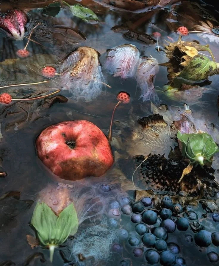 Nutrition &amp; DT1 : ce qui nous a aidés dès le début