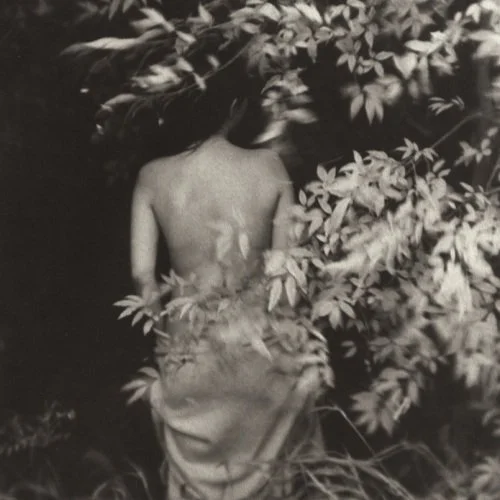 A black and white photo of a topless woman with long hair, standing among dense foliage and trees, facing away from the camera.