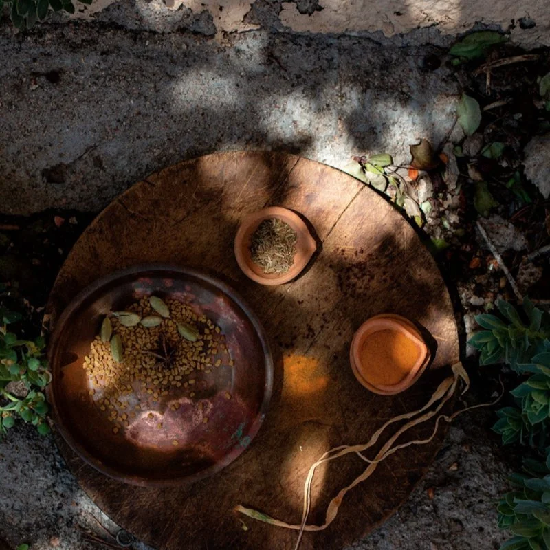 Various spices and herbs on a round wooden board outdoors, with plants and shadows surrounding them.