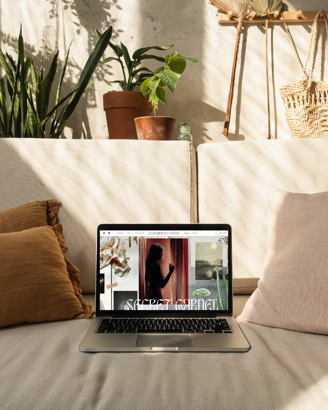 Laptop on a sofa showing a webpage with a silhouette of a woman, surrounded by plants and cushions, with sunlight casting shadows in a cozy living space.