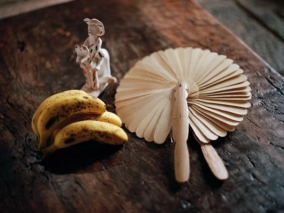 Le Monde est à Nous – Marie-Laure Daillut – maman DT1 – nutrition consciente