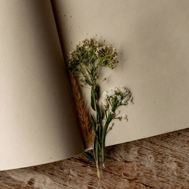 A small bouquet of white and green flowers with a brown dried grass stem, resting against a blank light-colored wall on a wooden surface.