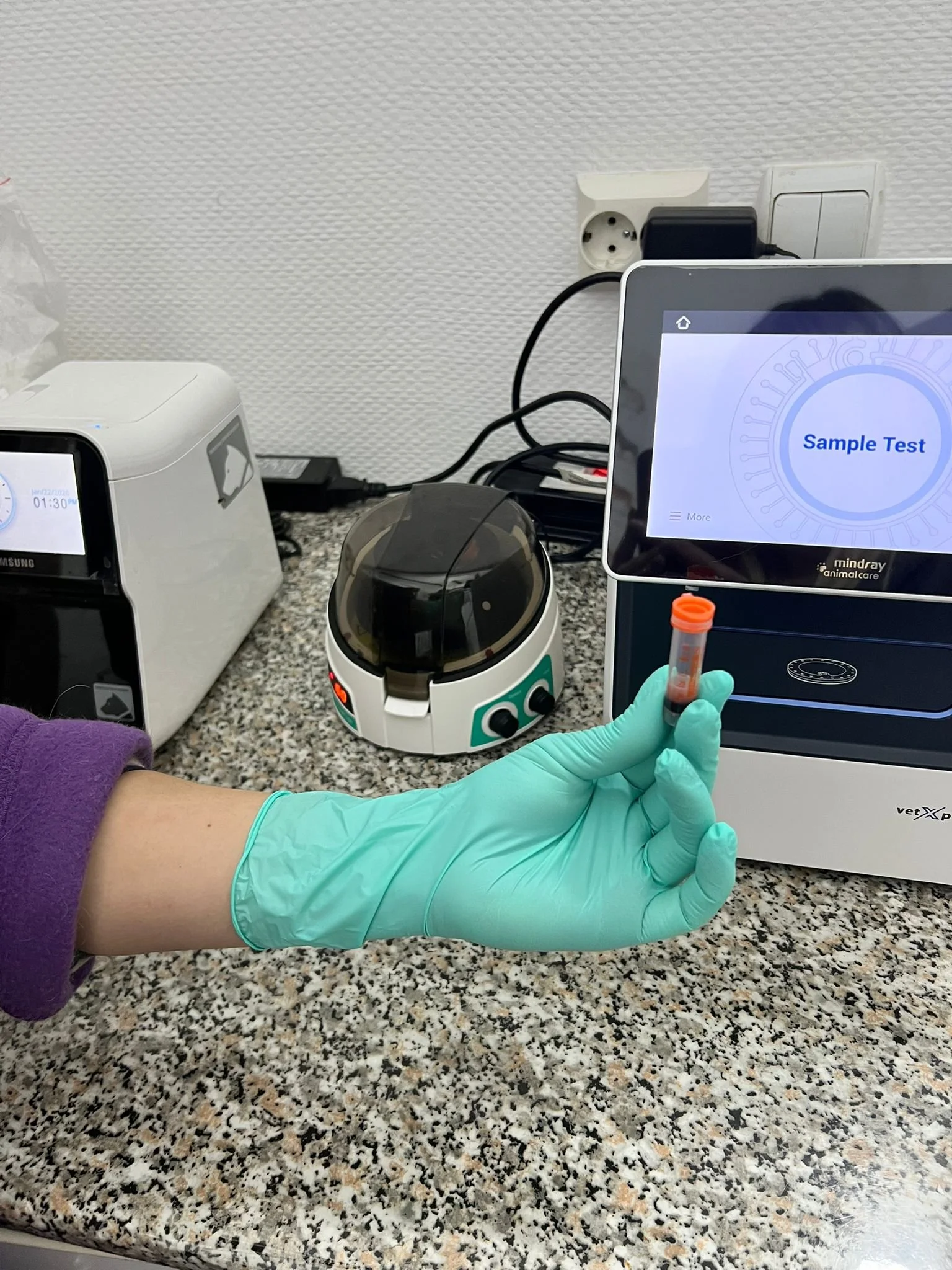 Rolul analizelor de sânge și urină în depistarea precoce a bolilor renale la câini și pisici