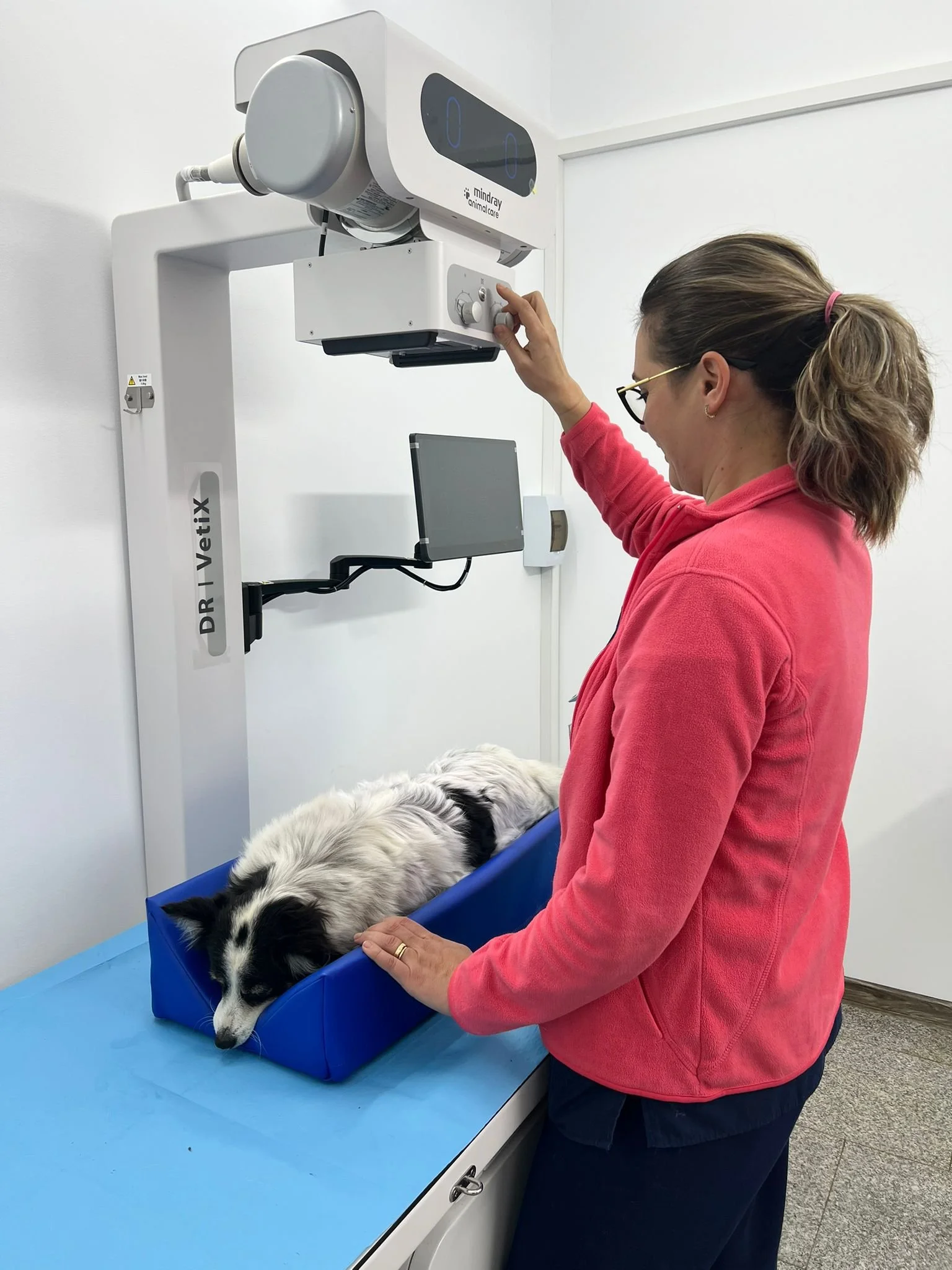 Top 7 mituri despre fracturi și luxații la animale&nbsp;