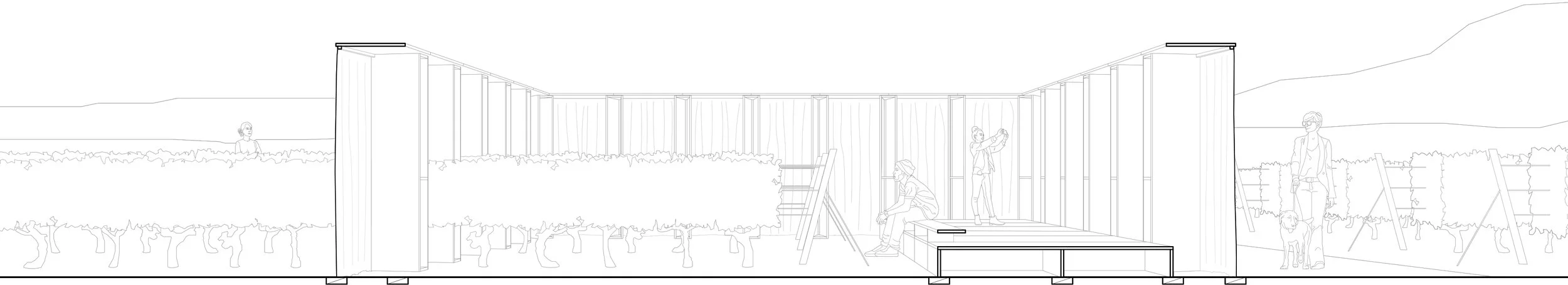 CONCENTRICO - COUPE PERS.jpg