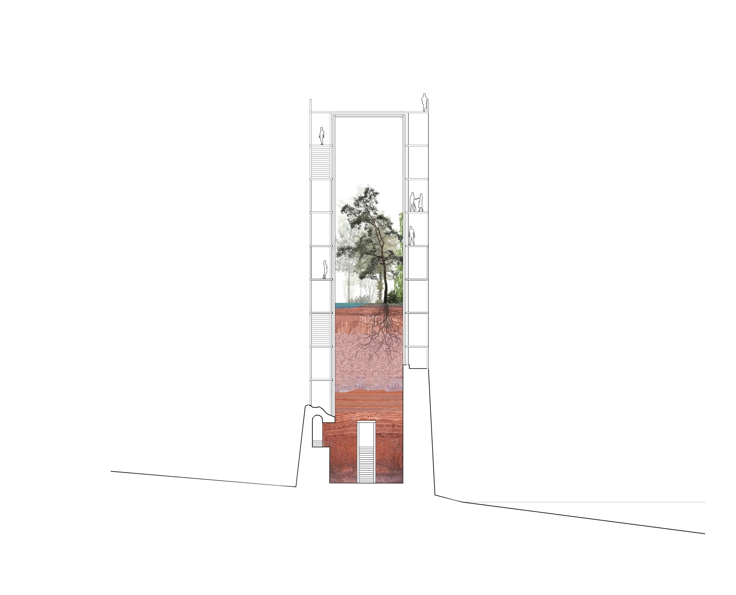 Coupe 100 sans aplat.jpg