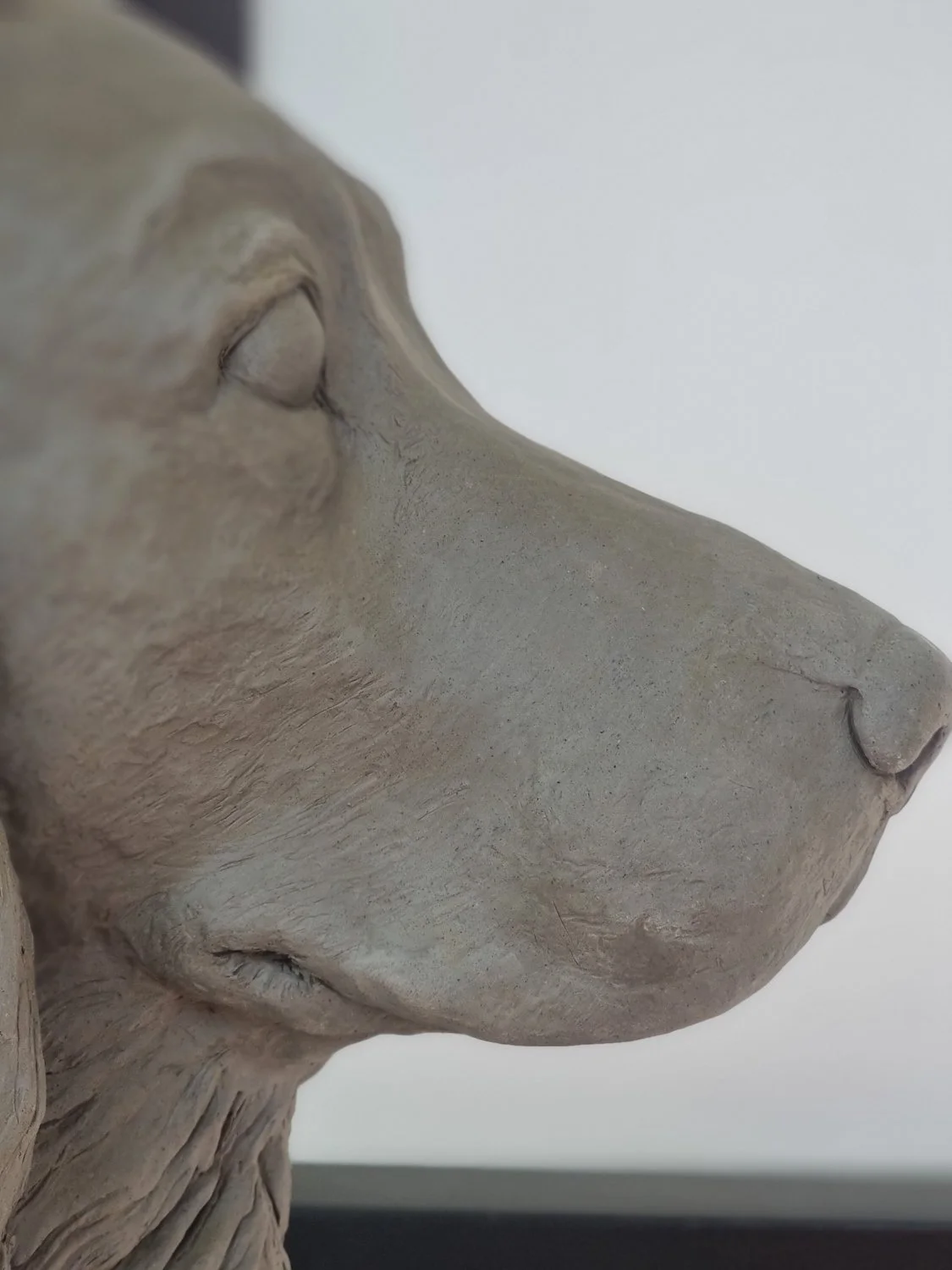 Debbie McCall Dog Sculpture Portrait Bronze Bespoke Art Talismans-21.jpg