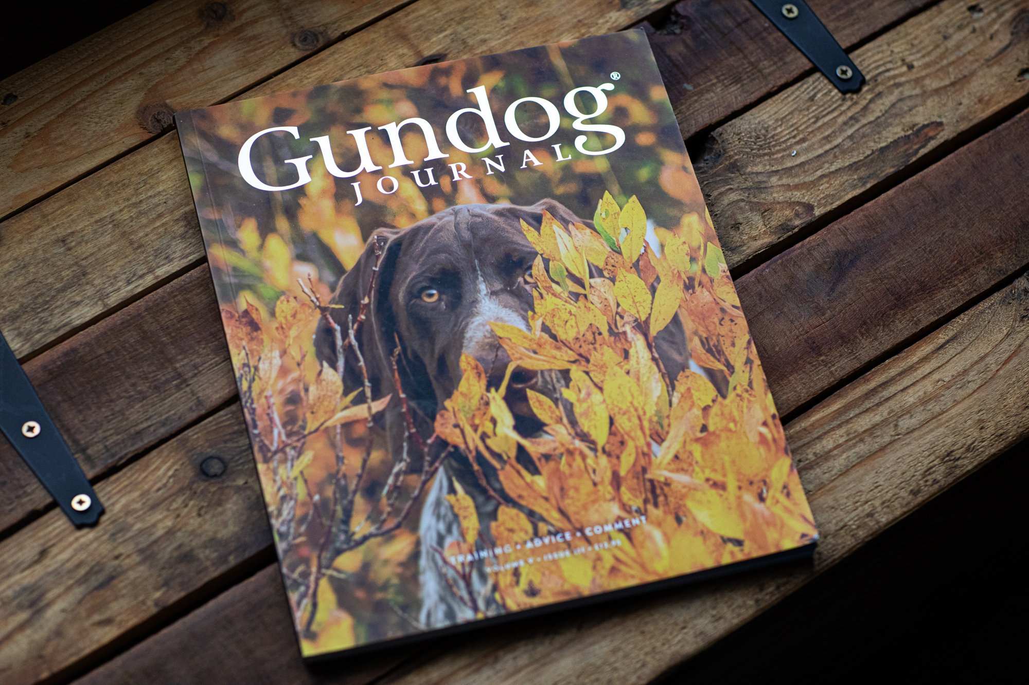 Gundog Journal-1.jpg