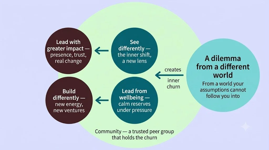 Lead Differently methodology diagram showing how a dilemma from a different world creates inner churn, which held in community produces an inner shift and wellbeing, leading to greater leadership impact and new building.