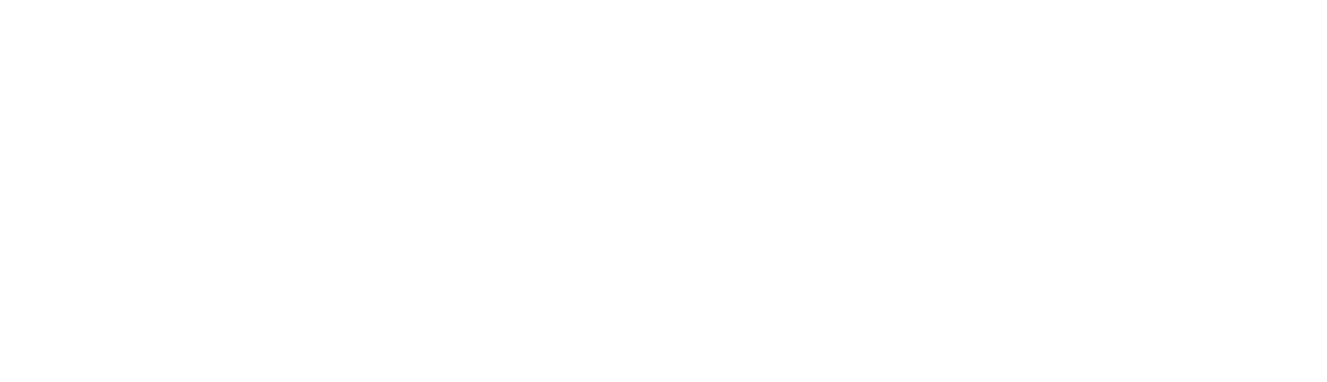 shopify-partners.png