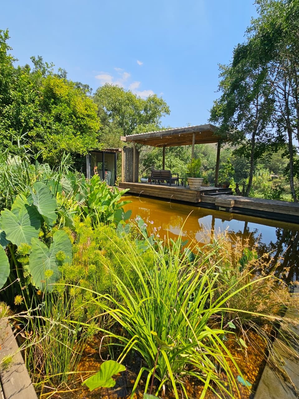 Natural pool view.JPG