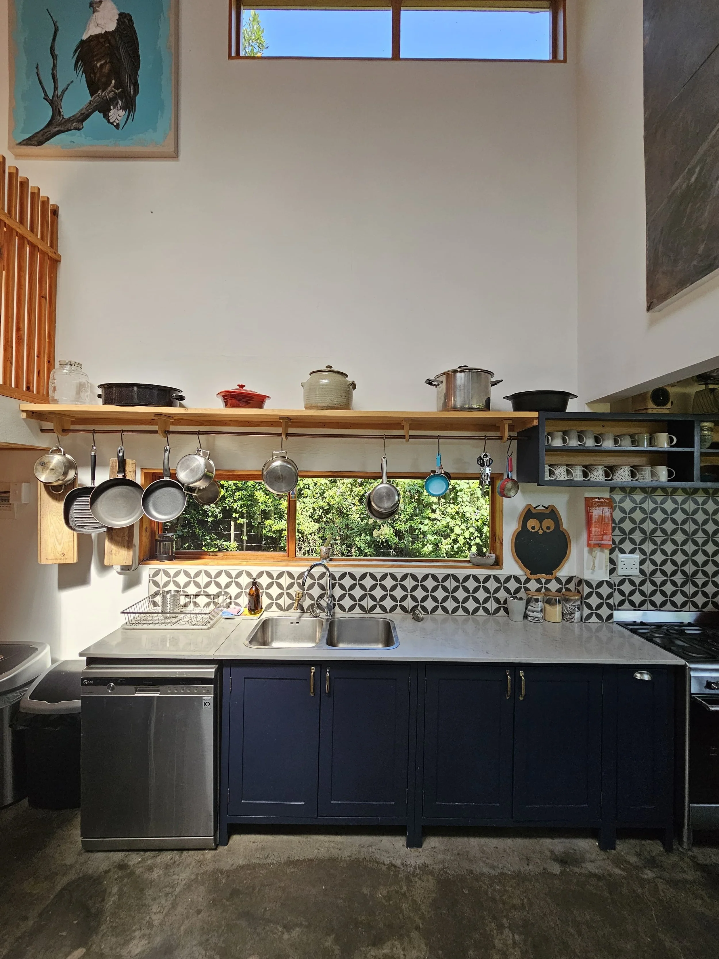 Kitchen sink and dishwasher.JPG