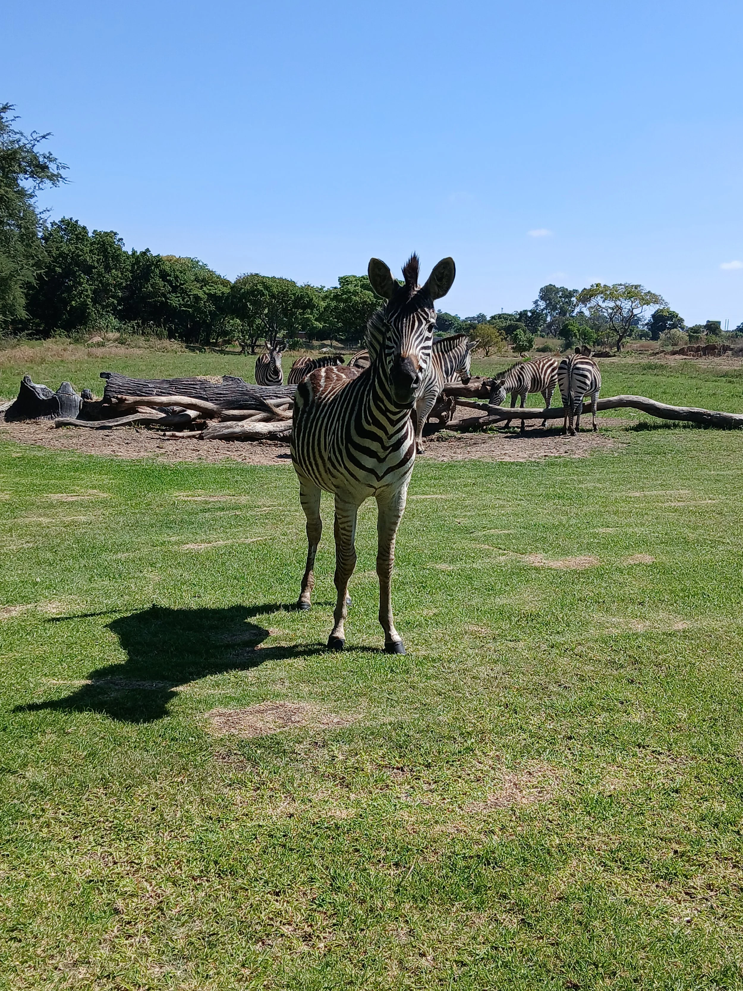 20251122_090115 (1).jpg