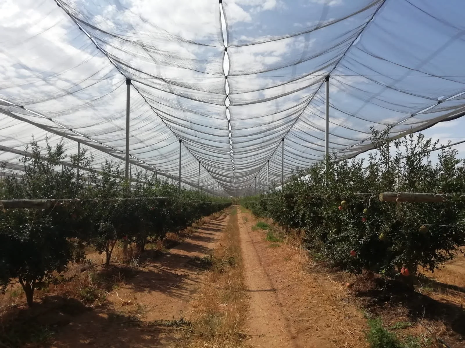300 Hectares of Farmland Supported