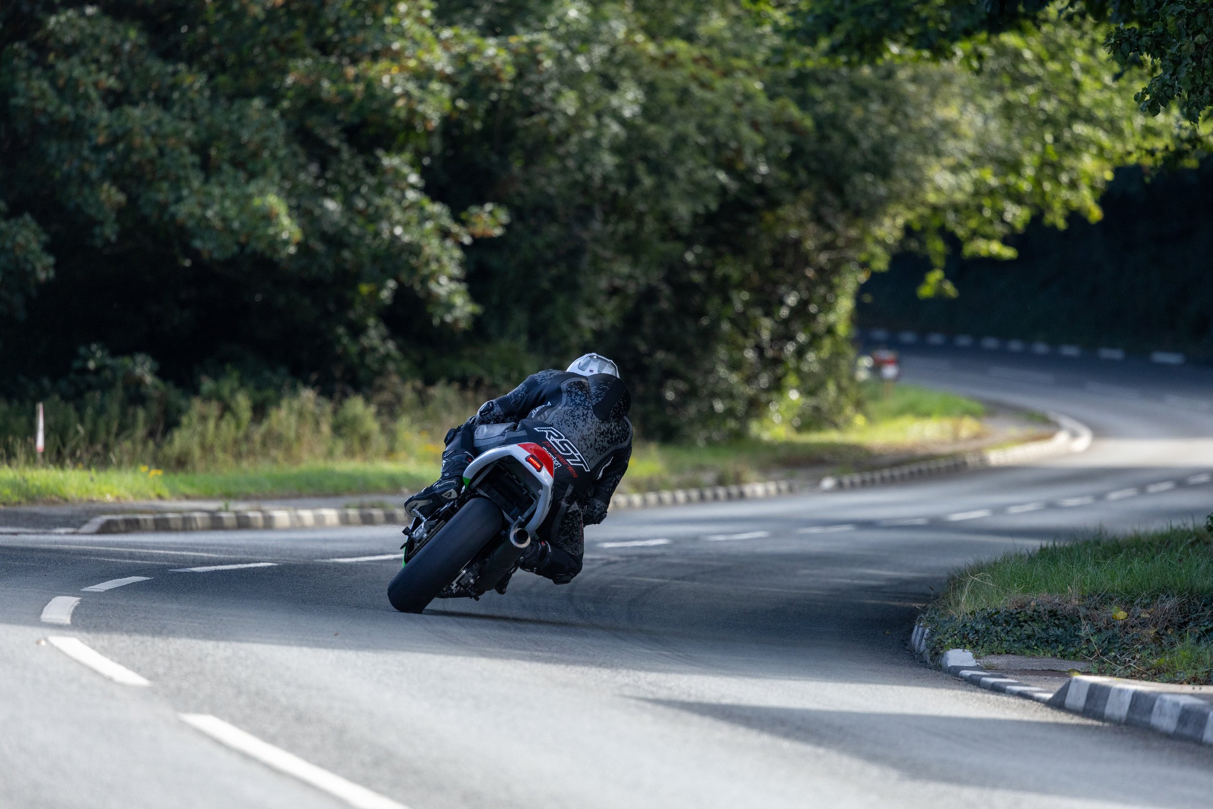ZM3A5584 - Copy.jpg