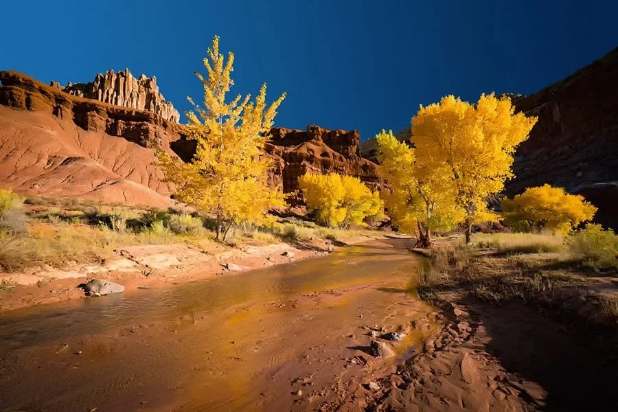 capitol-reef.jpg