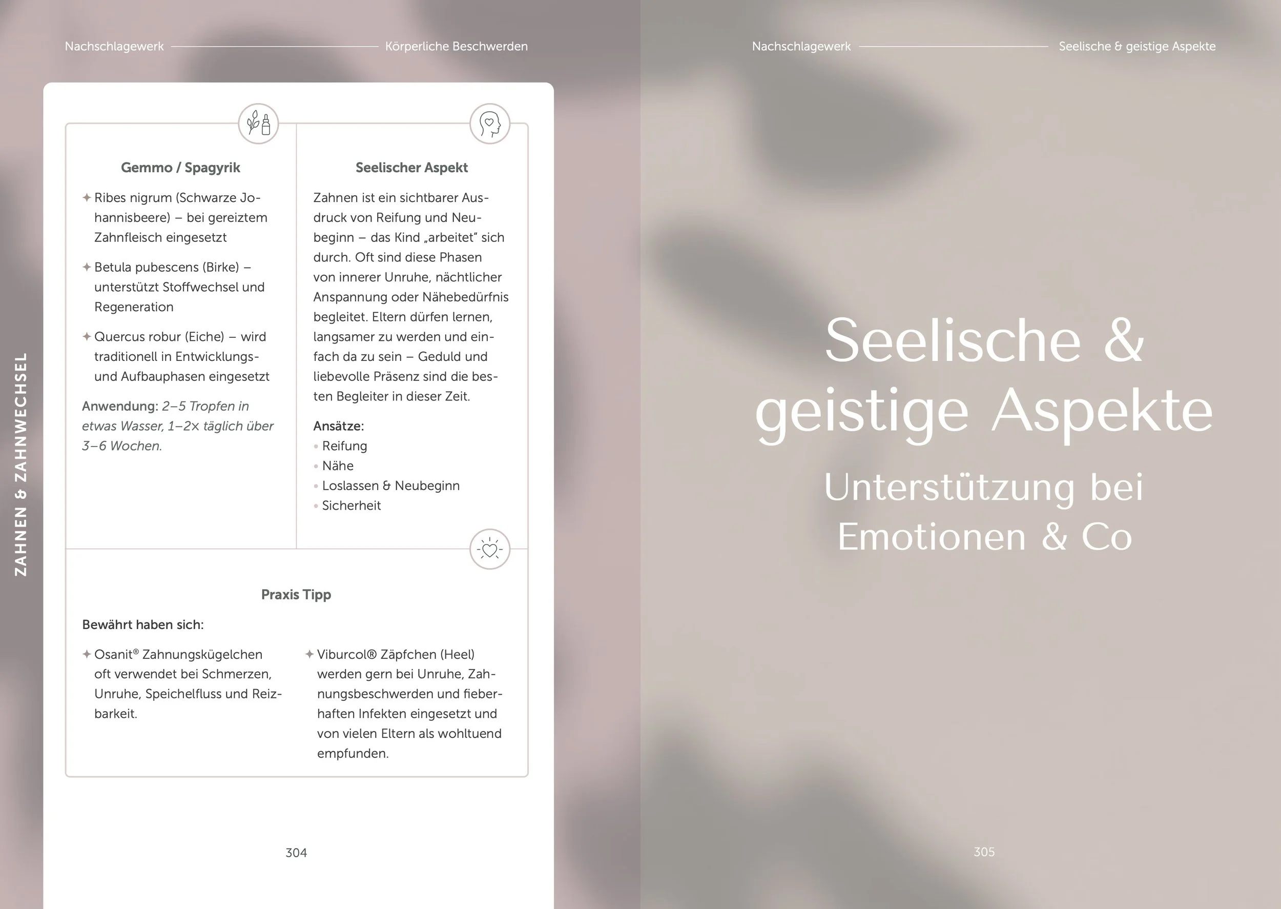 Blick in den Mama Guide – Ganzheitliche Kinderheilkunde: Geist & Seele, Unterstützung bei Emotionen