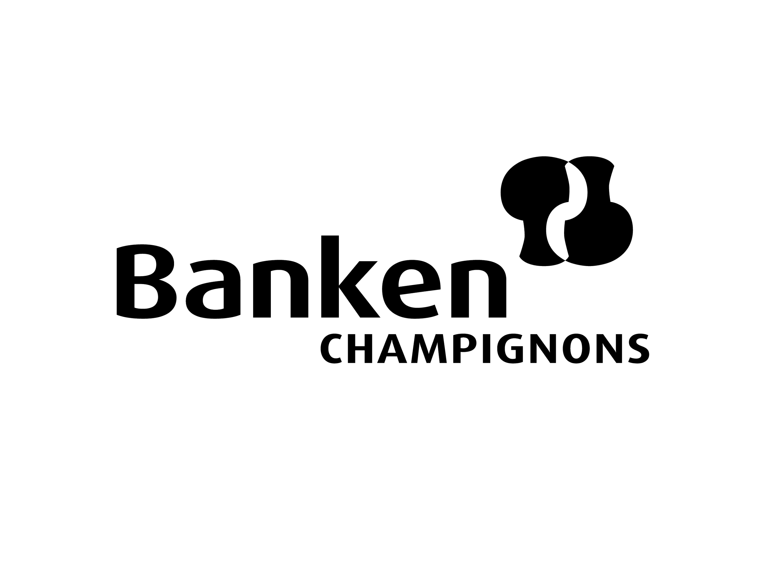 Logo's samenwerkingen-10.png