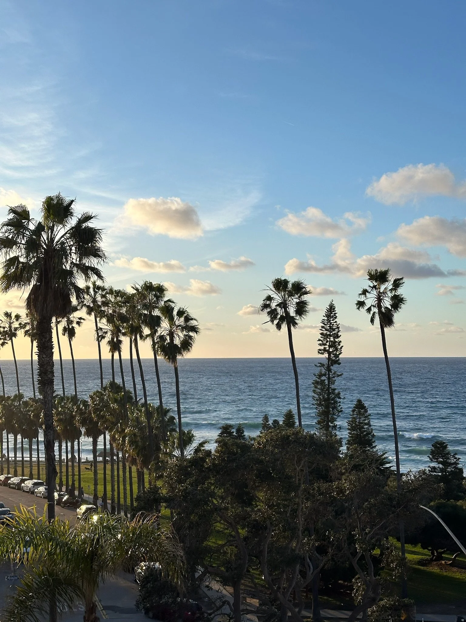 Big Moves and Bold Dreams