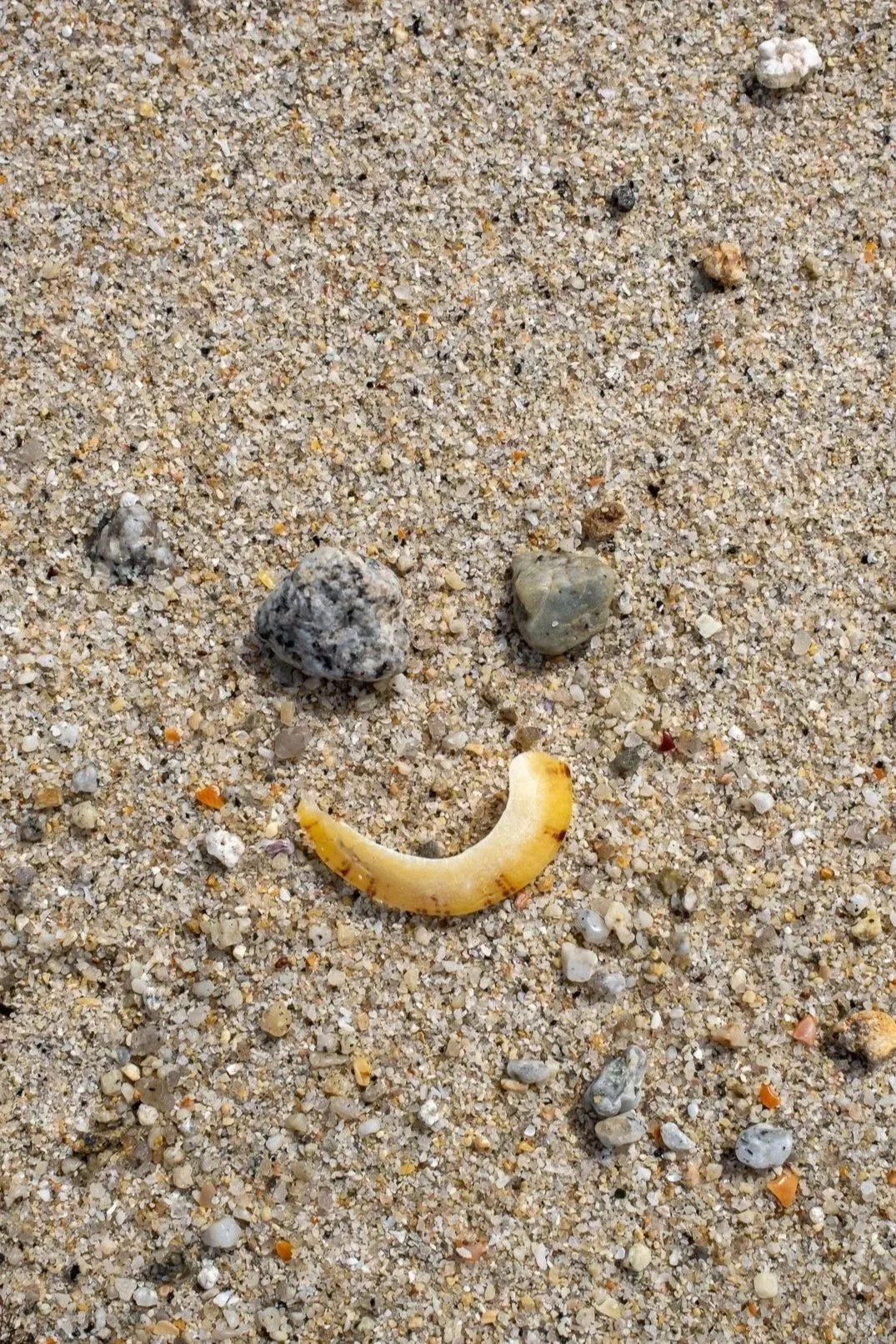 bretagne-235.jpg