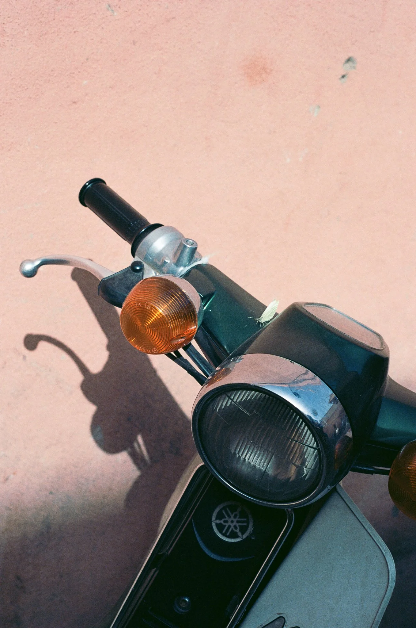 ANALOG-6.jpg
