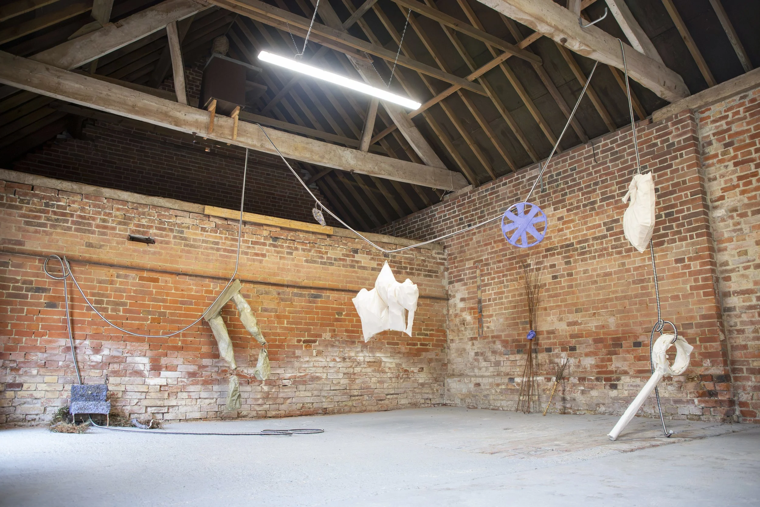 Laura Eldret, Dorset Visual Arts 2026