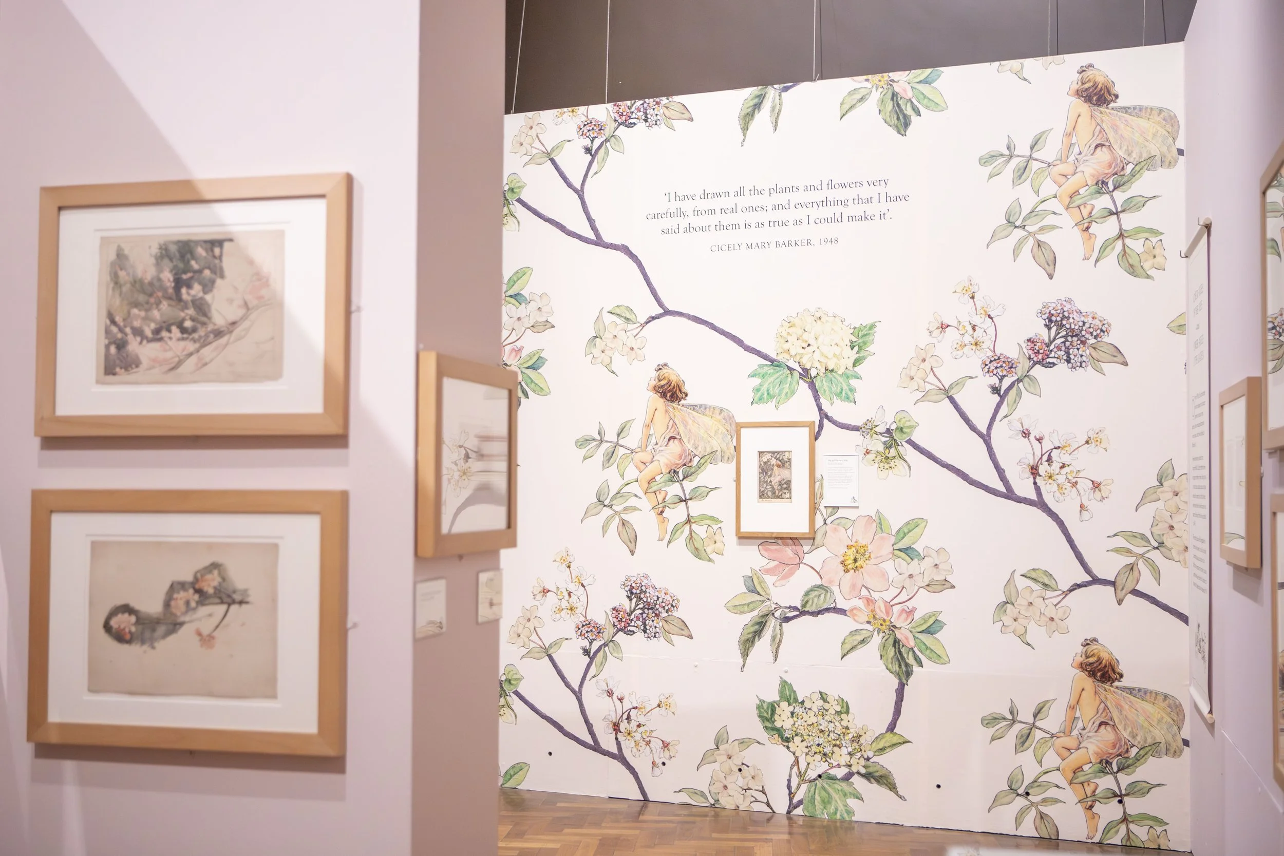 Russell Cotes Museum & Art Gallery, Flower Fairies, 2026