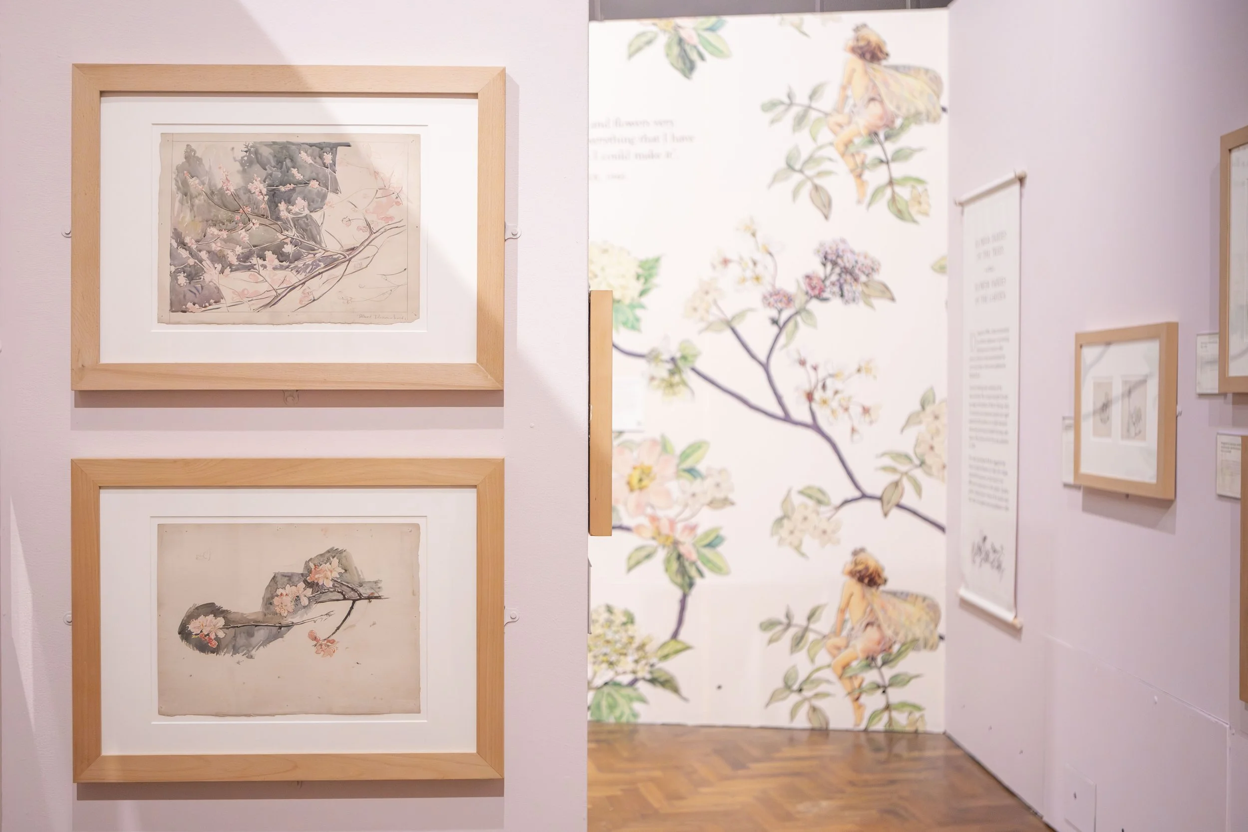 Russell Cotes Museum & Art Gallery, Flower Fairies, 2026