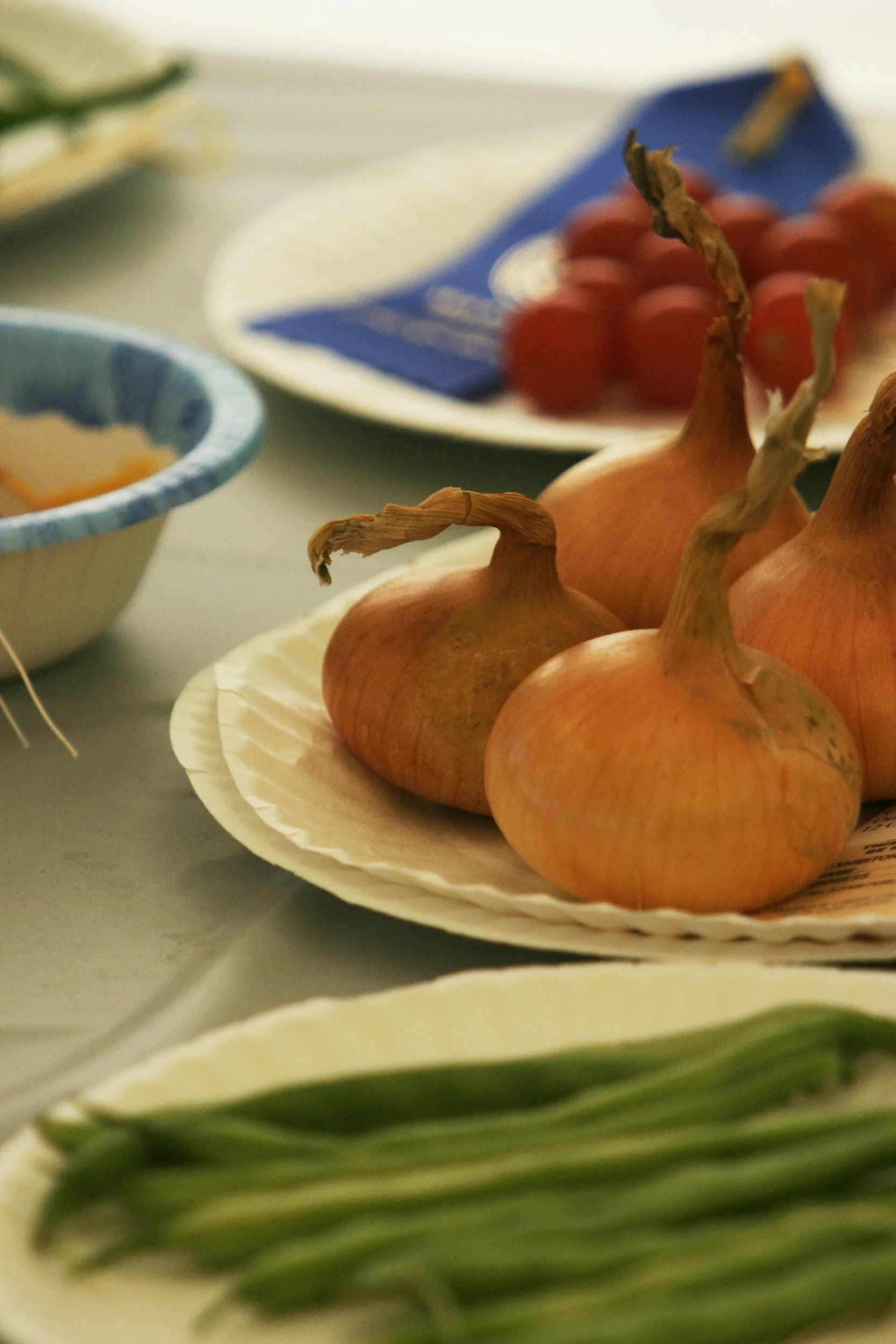 Ashover Produce Club Annual Show