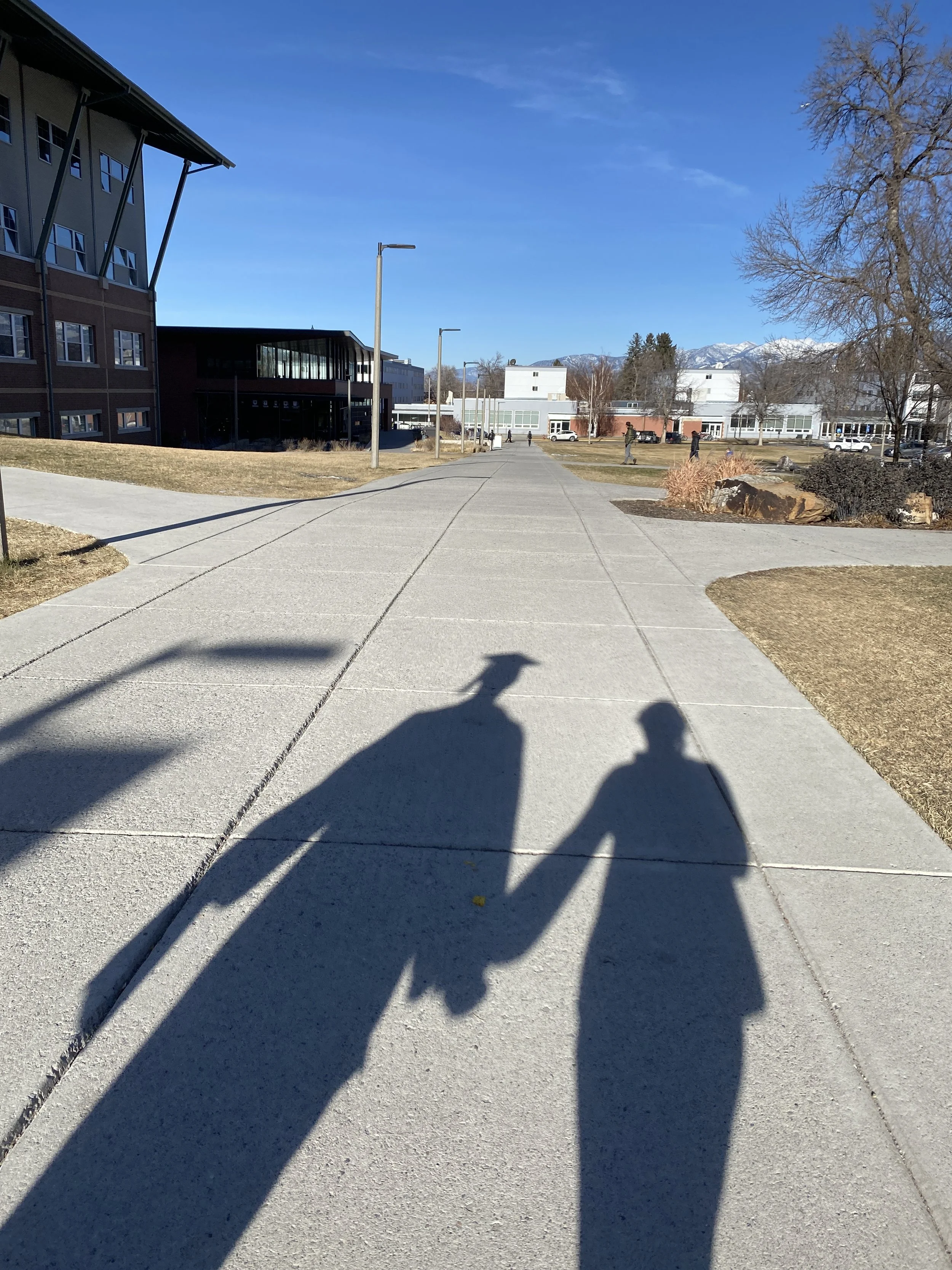 Shadows of two people on a sidewalk in a sunny outdoor area with trees, buildings, and mountains in the background.