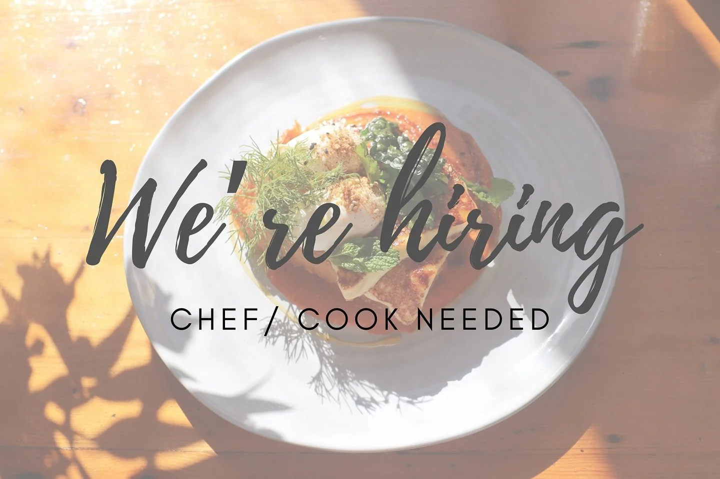 We&rsquo;re looking for a talented and passionate Chef/Cook to join our cafe!

If you love creating delicious food, working with a fun team, and being a part of a community-focused cafe, we want to hear from you.

What we&rsquo;re looking for:
&bull;