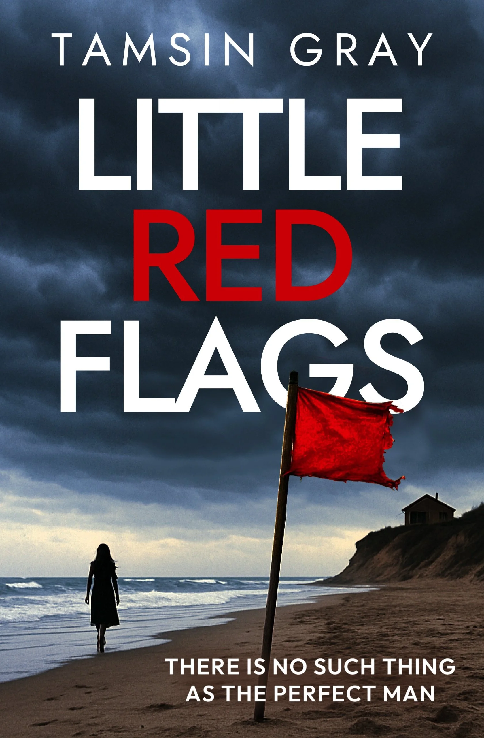Little-Red-Flags-Kindle.jpg