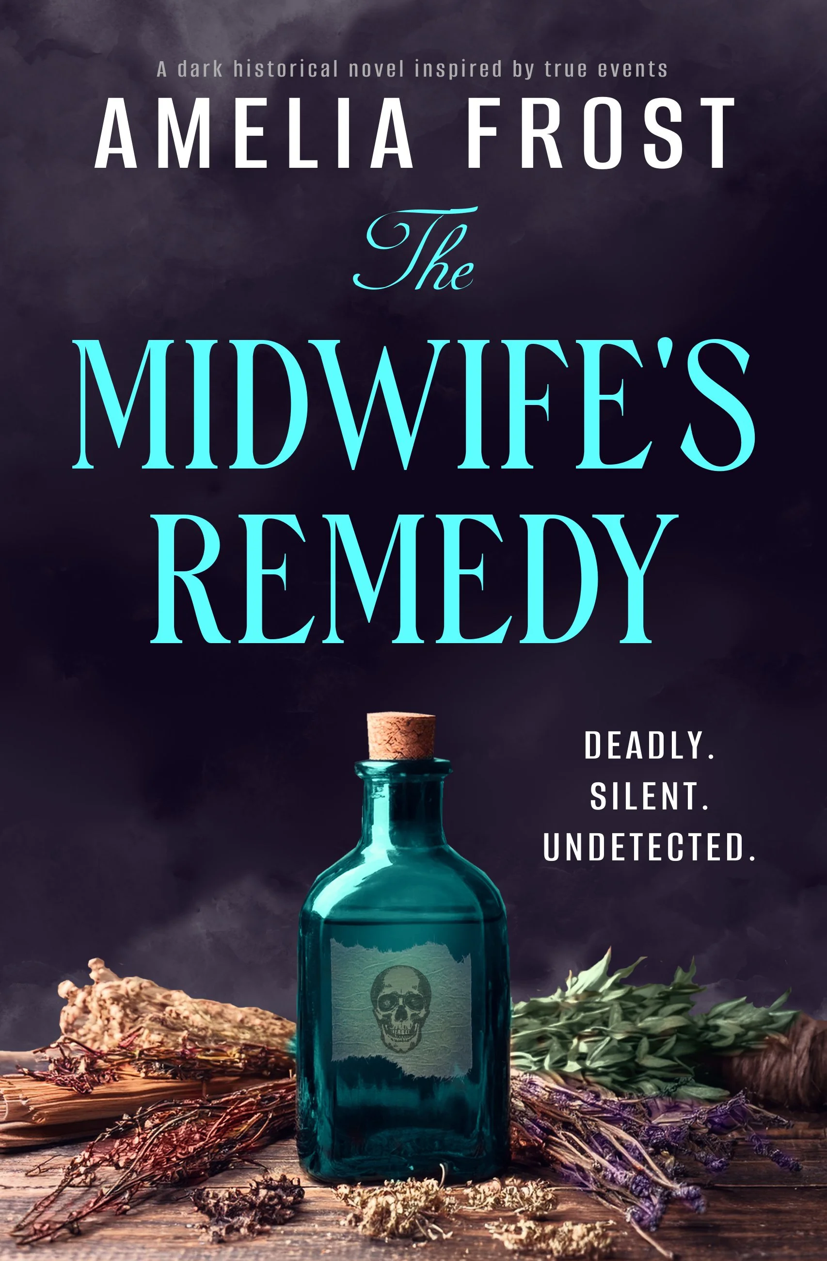 The Midwife's Remedy copy.jpg