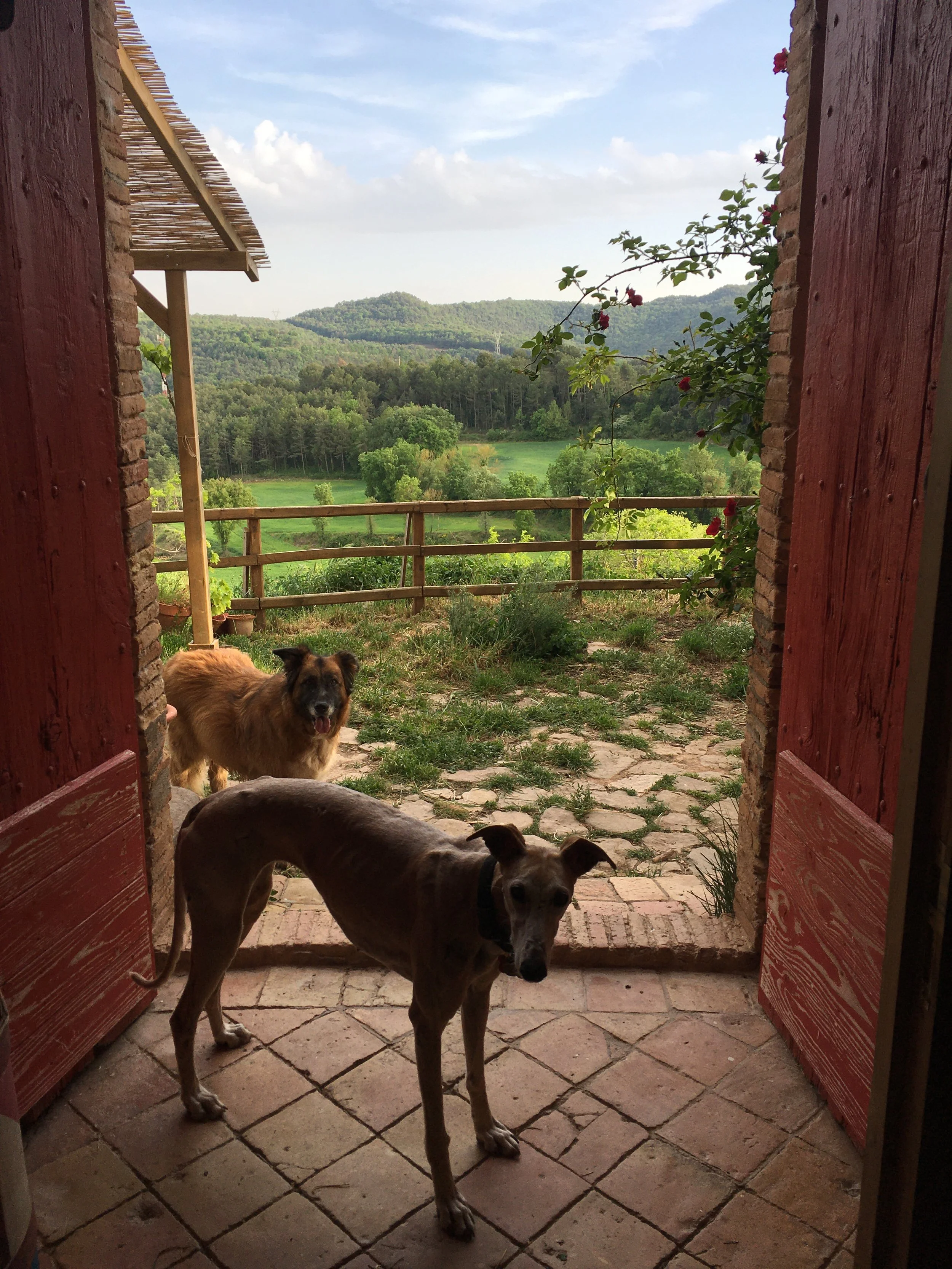 ENCUENTRO INÚTIL CON LA INCERTIDUMBRE