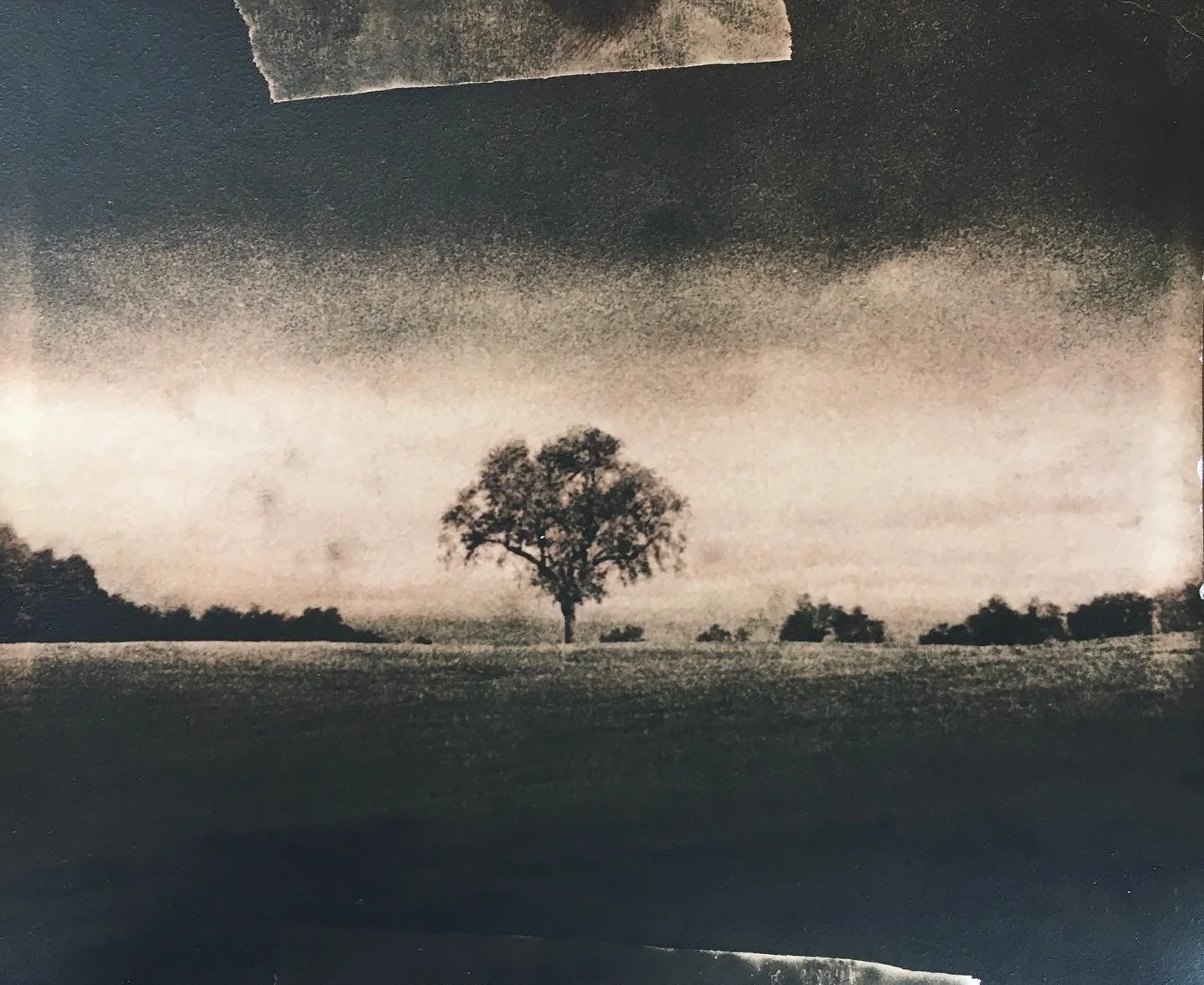 A02AB7DB-6186-4712-9DBF-F3C4306EC6A2 2.JPG