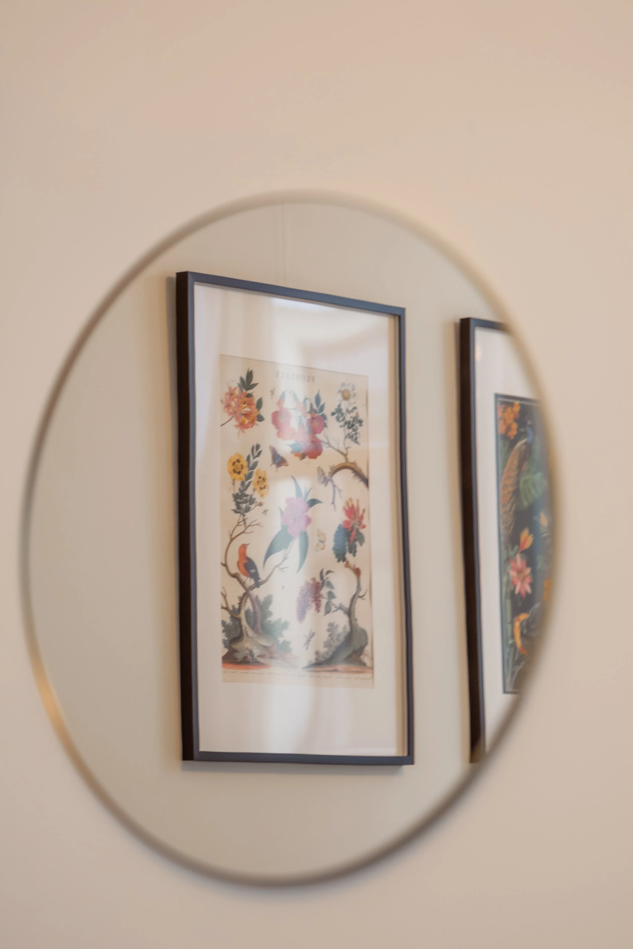 _DSC2244.jpeg