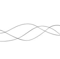 Multiple thin, wavy black lines on a white background.