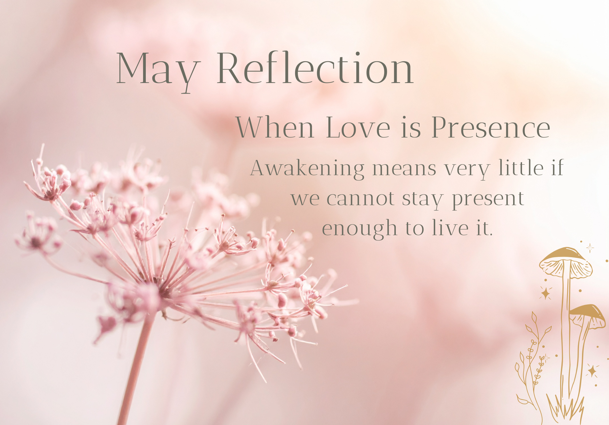 May Reflection