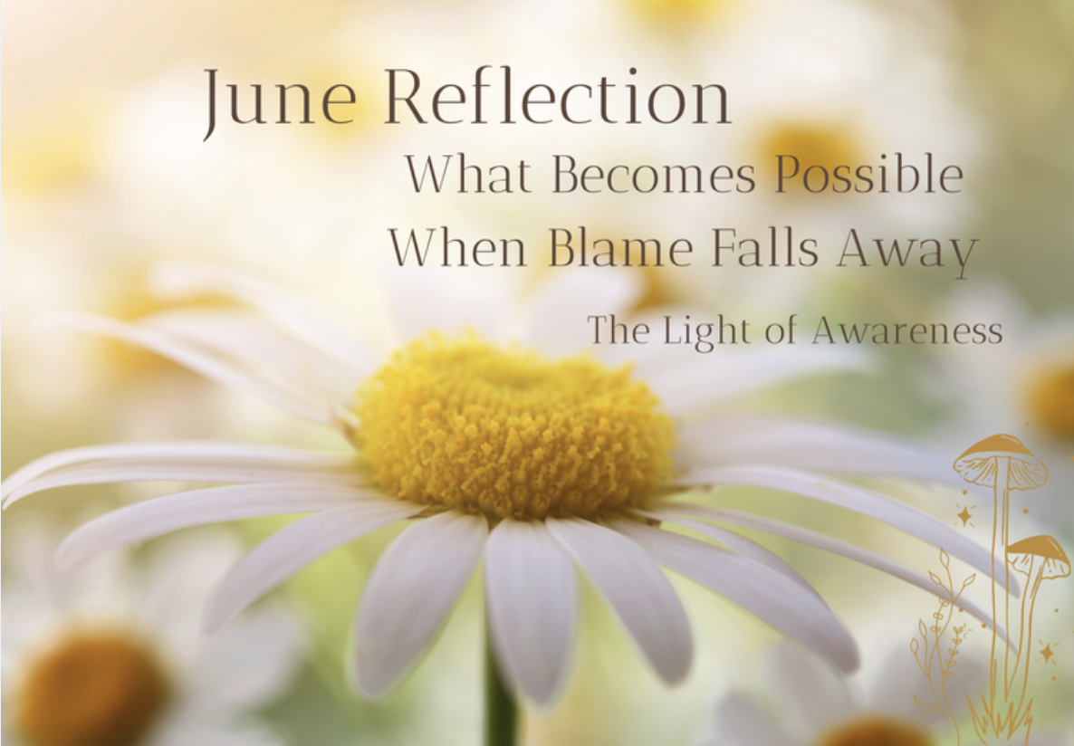 June Reflection