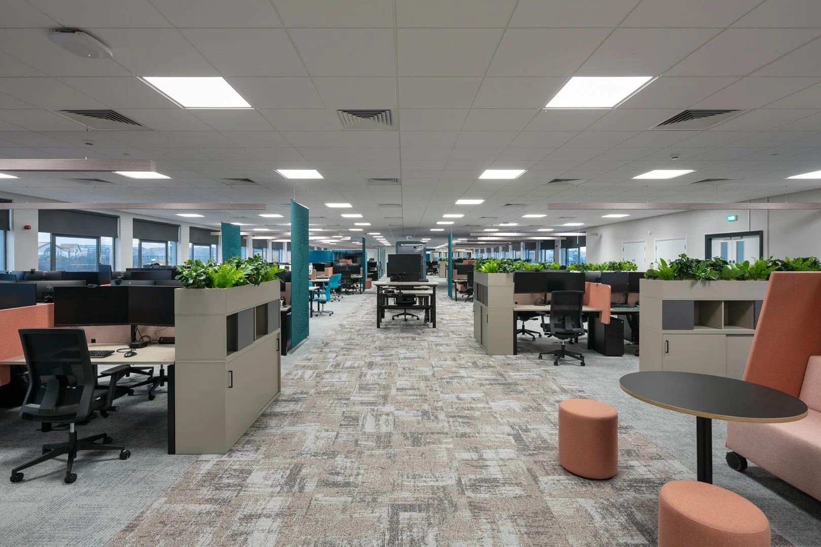 12 PX Group 3Z7A8507.jpg