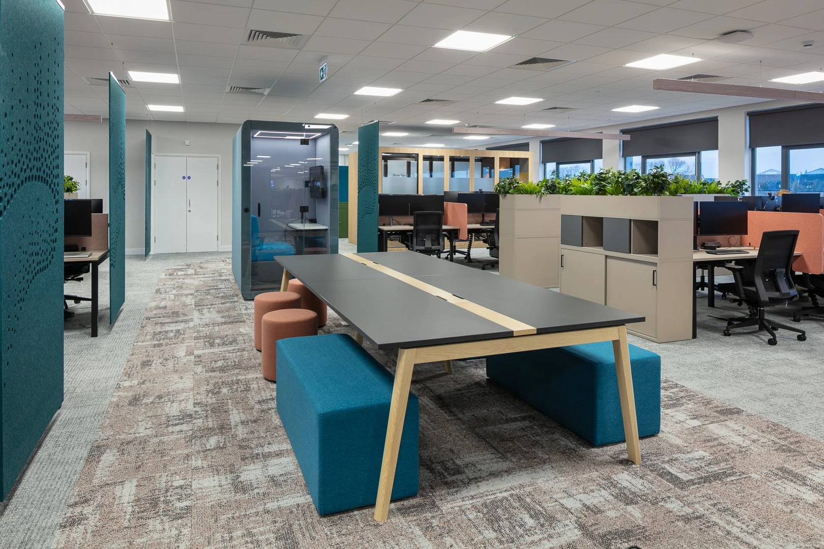 13 PX Group 1D0A0143.jpg