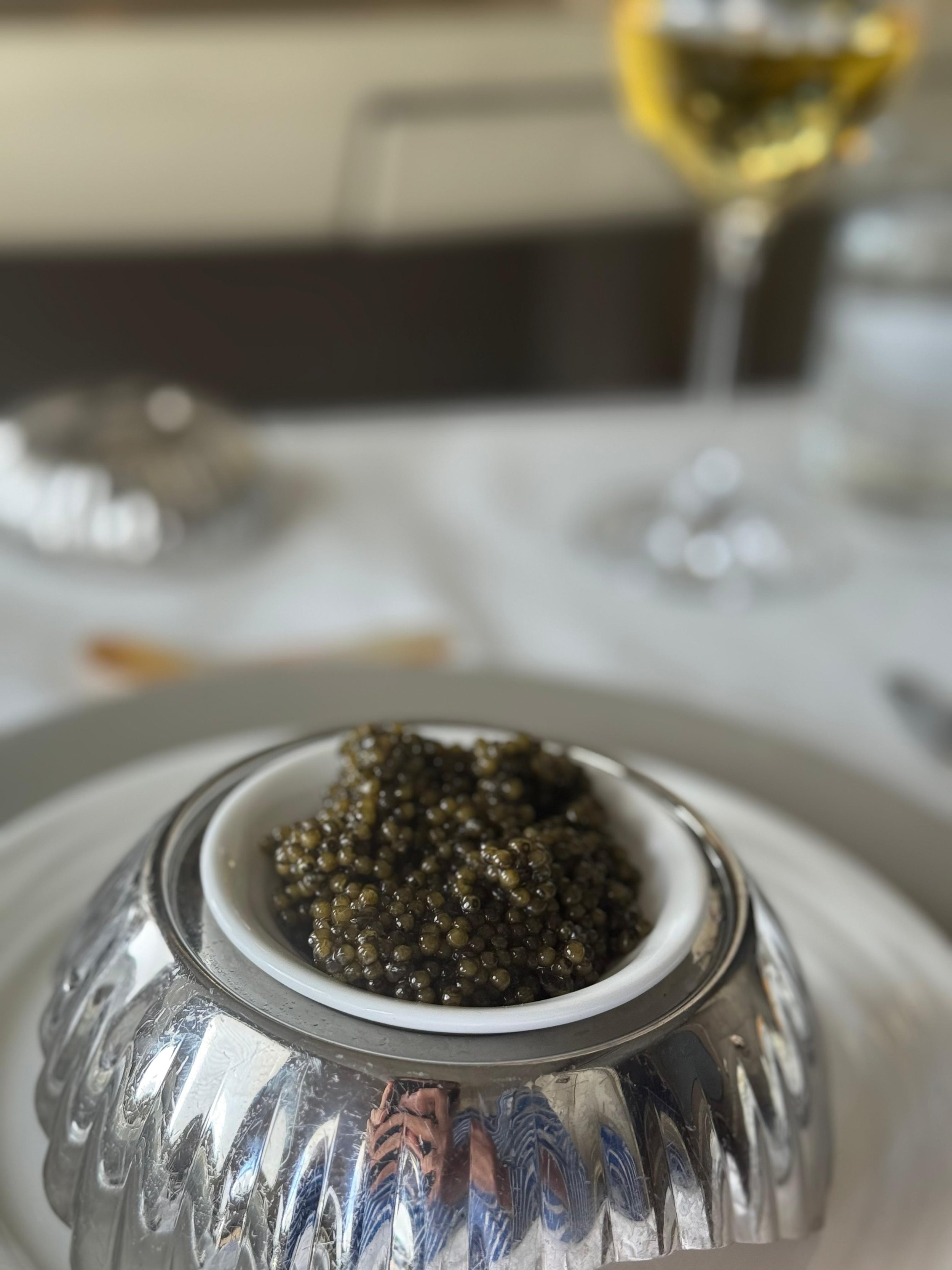 WhatsApp Image 2026-02-11 at 08.08.49 (7).jpeg