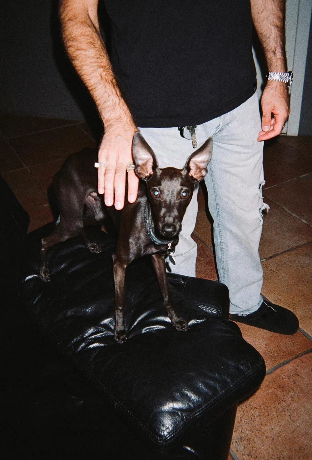 WhatsApp Image 2025-12-07 at 23.21.44 (5).jpeg