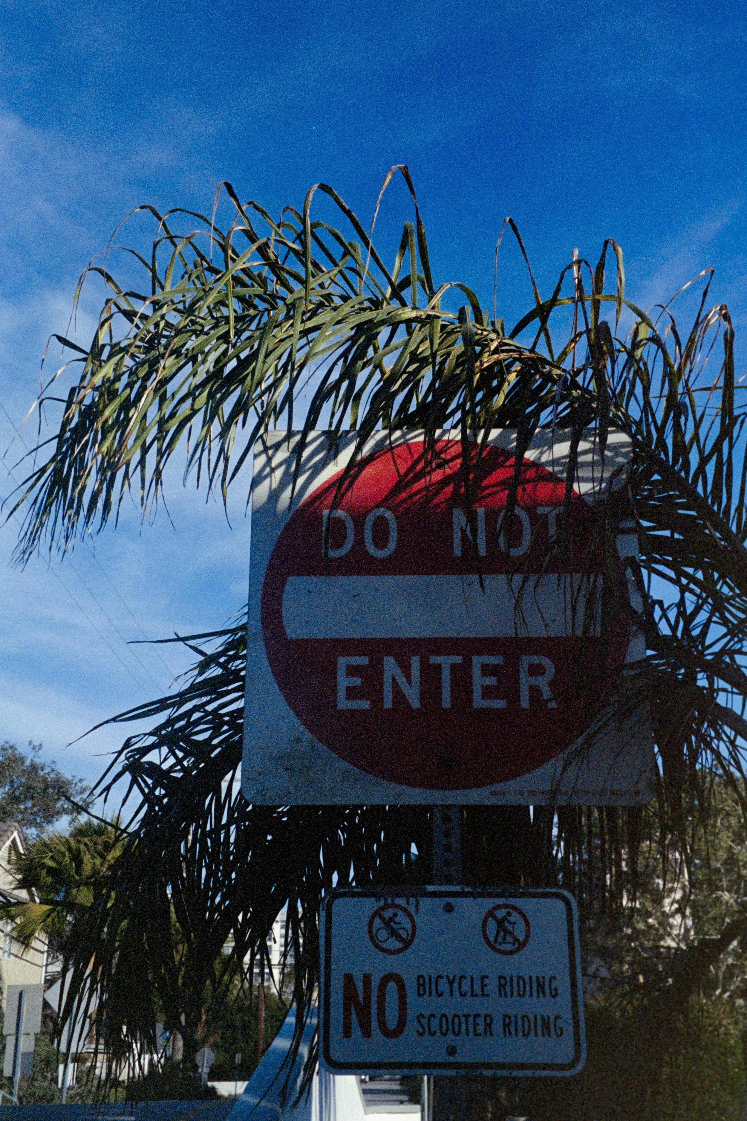 WhatsApp Image 2025-12-07 at 23.41.44 (4).jpeg